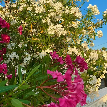 Apartman Tara Malinska