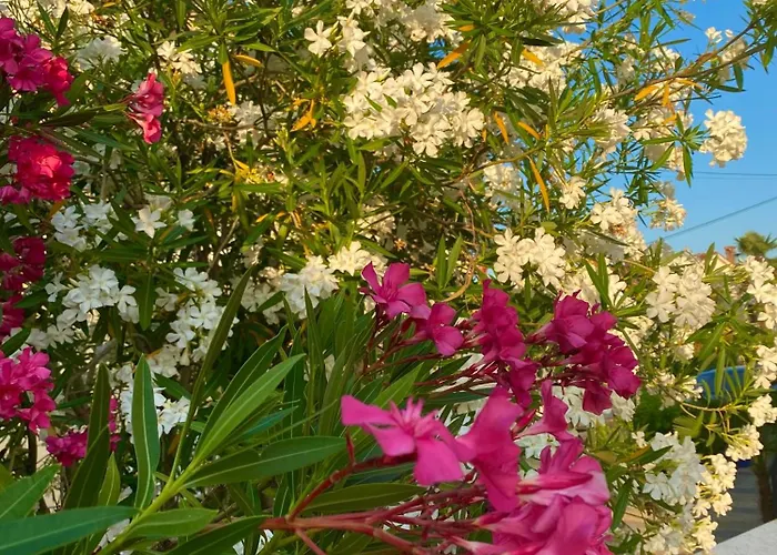 דירה Tara מאלינסקה